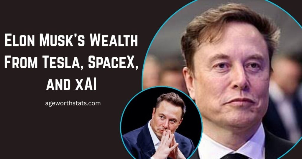 Elon Musk Net Worth