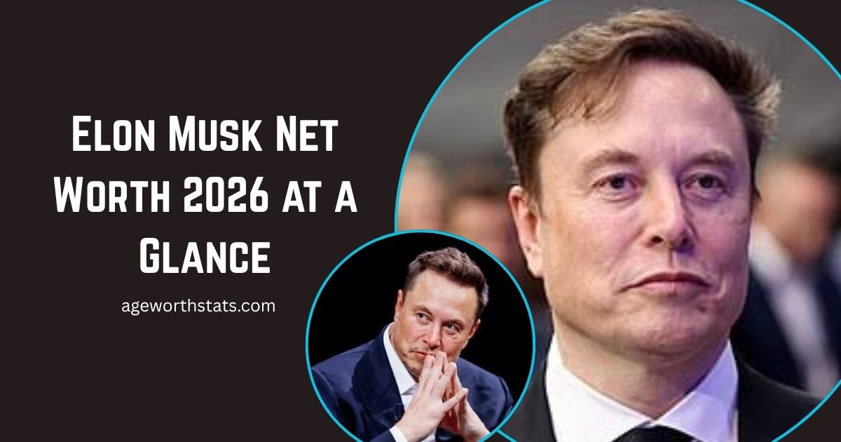 Elon Musk Net Worth