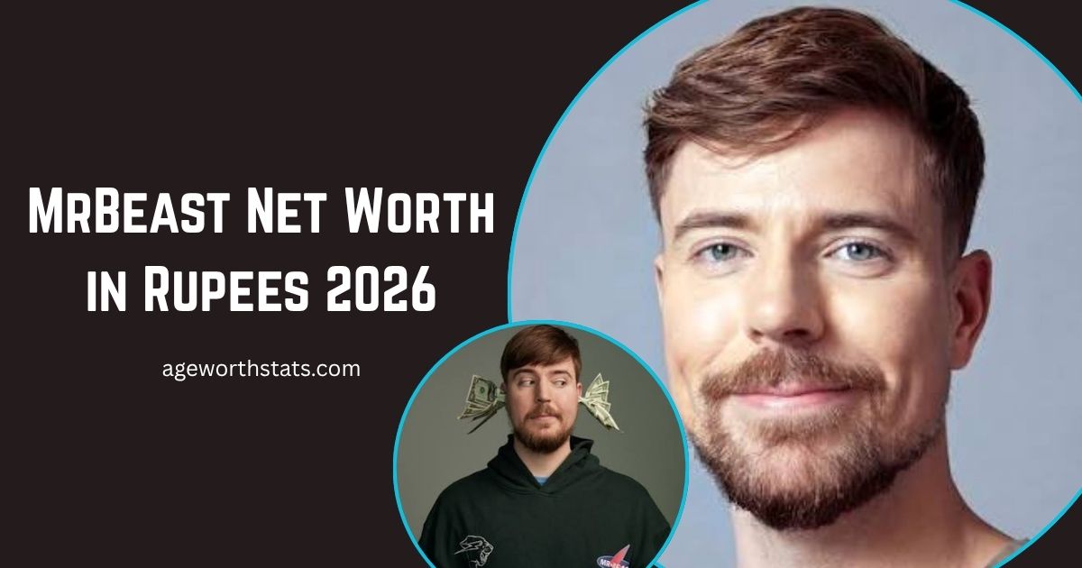 MrBeast net worth